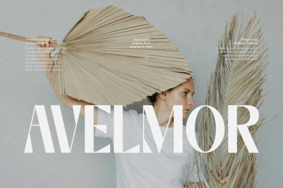 Avelmor: Timeless Elegance in Type