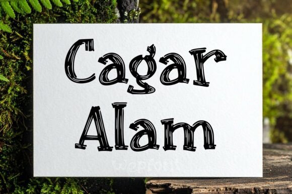 Cagar Alam: A Font for Wild Inspiration